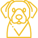 Dog face icon in yellow line art