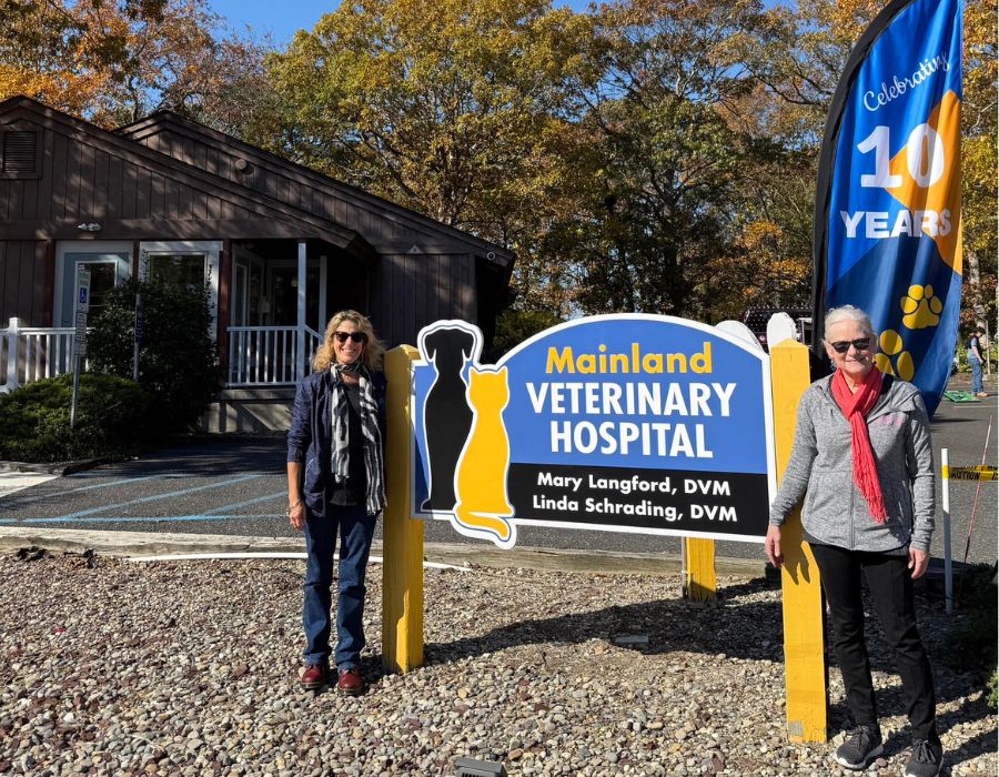 Two team members standing beside the Mainland Veterinary Hospital sign