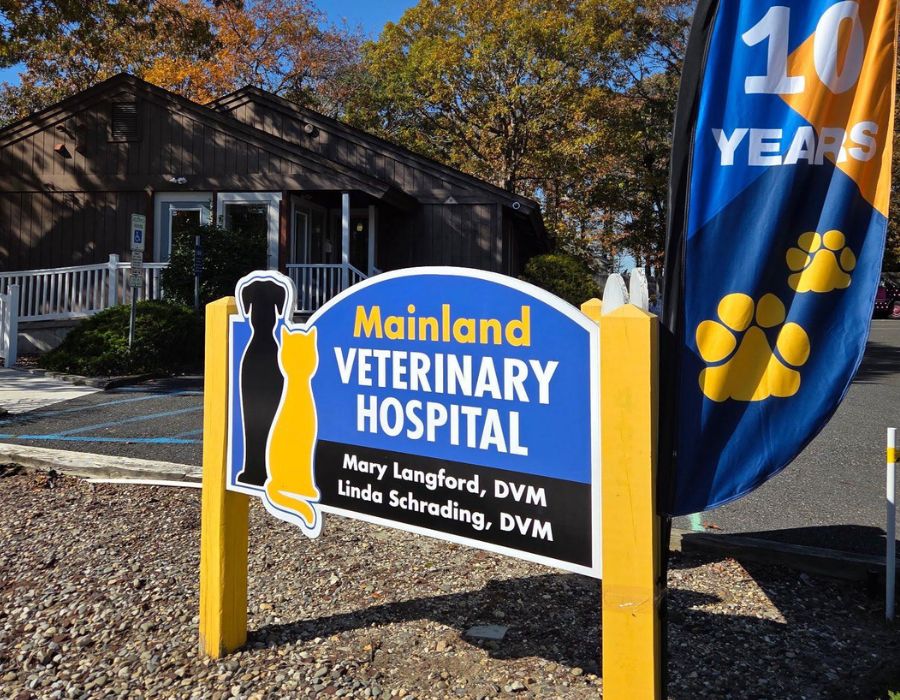 Mainland Veterinary Hospital sign outside clinic with 10 years banner
