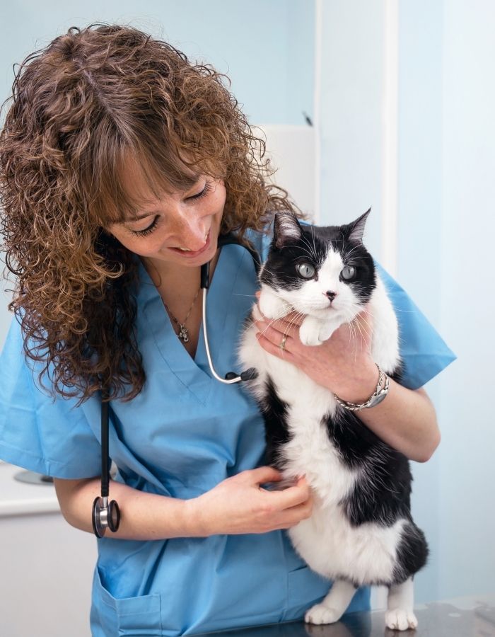 A veterinarian wearing blue scrubs and a stethoscope holds a black and white cat
