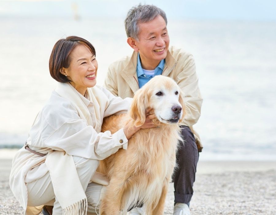 A couple and their golden retriever dog on a beach
