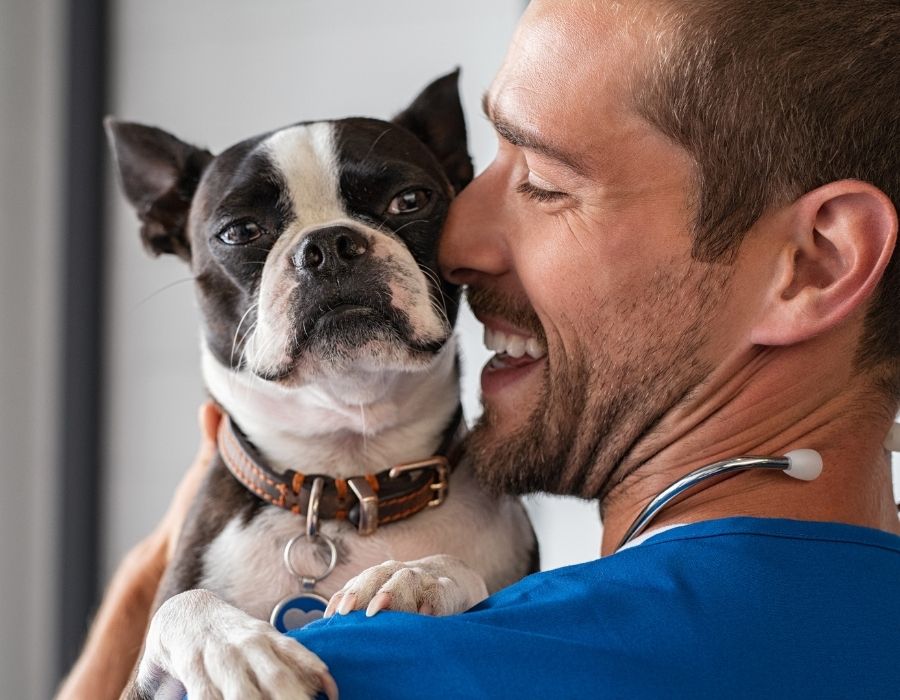 A man in a blue shirt is holding a small dog
