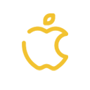 apple pay